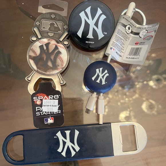 Other - Blue and Silver Accessories Set